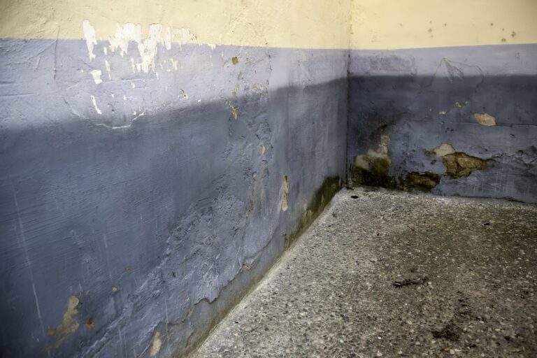 Co jest przyczyną pojawiania się pleśni w rogach mieszkania