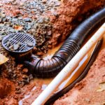 Co powoduje bulgotanie w rurach podczas spuszczania wody z wanny