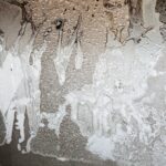 Jak poradzić sobie z kapaniem wody z sufitu po deszczu