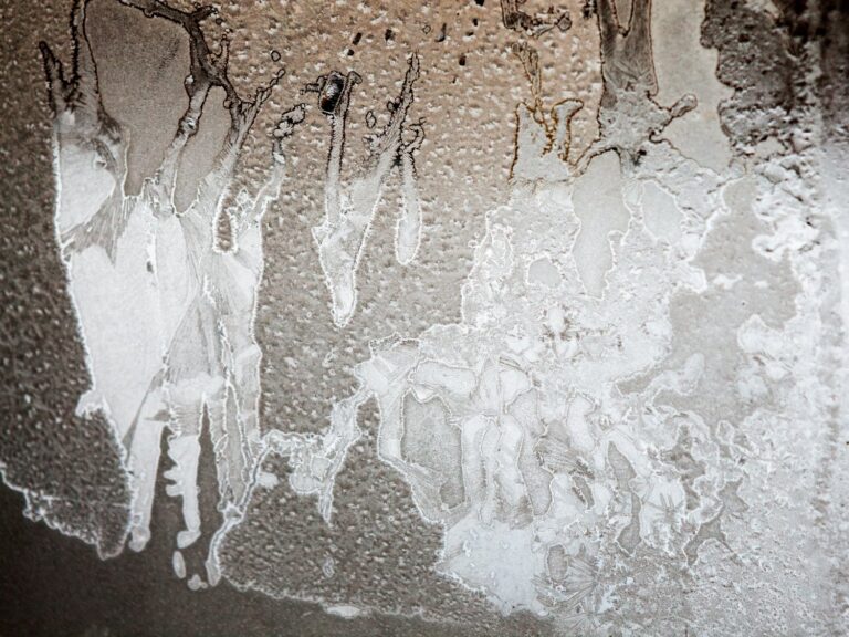 Jak poradzić sobie z kapaniem wody z sufitu po deszczu