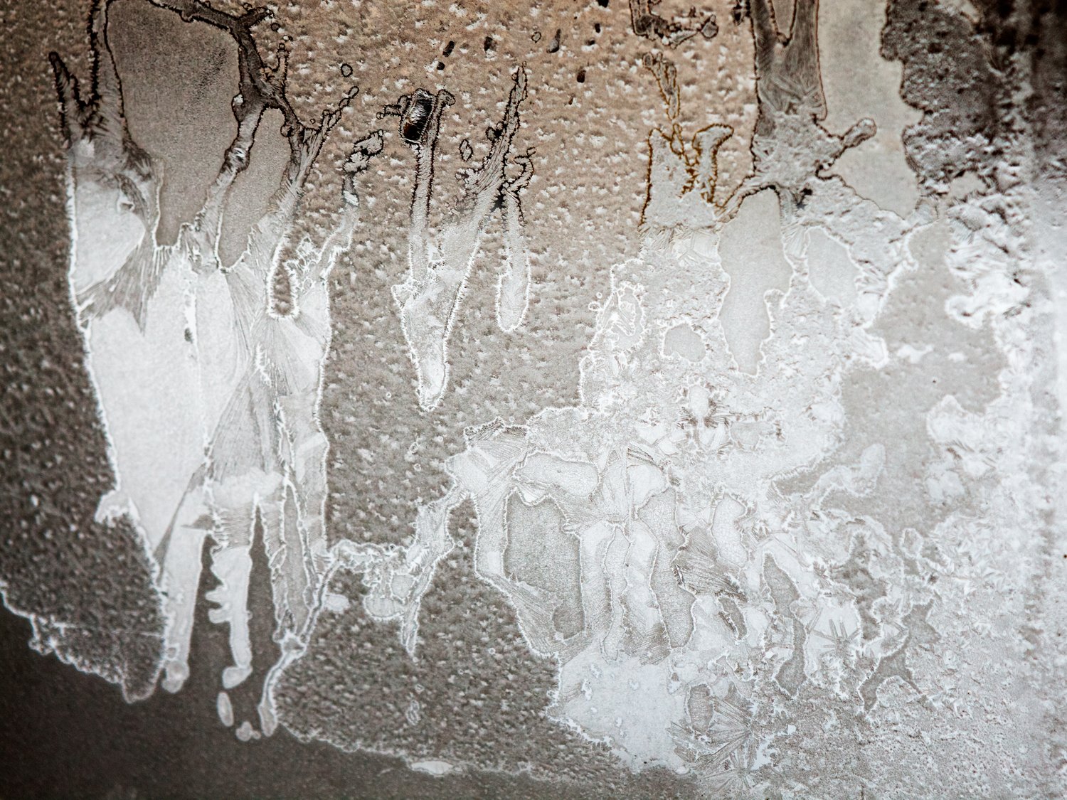 Jak poradzić sobie z kapaniem wody z sufitu po deszczu