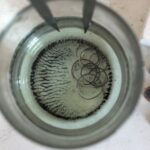 Jak rozpoznać że filtr wody pod zlewem jest całkowicie zatkany